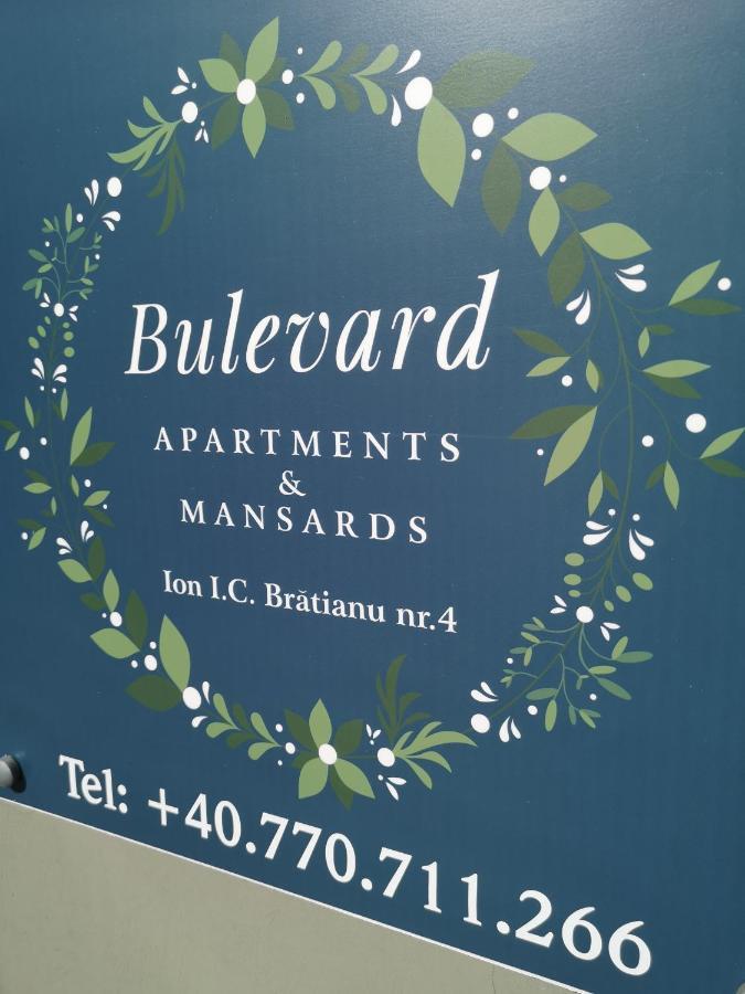 Bulevard Mansards 萨图马雷 外观 照片